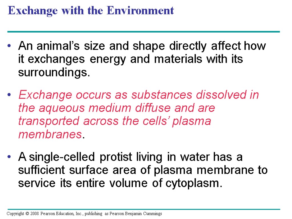 Exchange with the Environment An animal’s size and shape directly affect how it exchanges